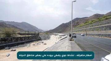 أمطار متفرقة.. نشاط جوي يضفي برودة على بعض مناطق الدولة